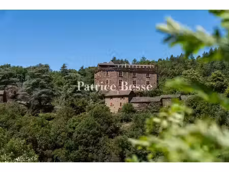dans le sud de la lozère  à florac  dominant la vallée  un castrum avec château  métairie.