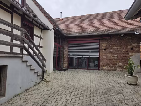 location maison 8 pièces 229 m² à nordheim (67520)