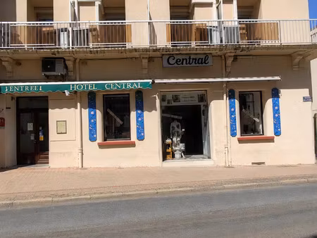 vente commerce 350 m² amélie-les-bains-palalda (66110)