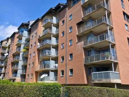 très agréable appartement 1 chambre avec terrasse