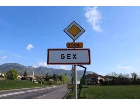 gex  dans zone artisanale  locaux commerciaux