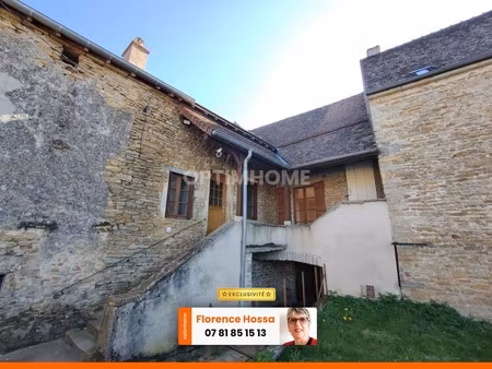 charmante maison en pierre à genouilly (71)