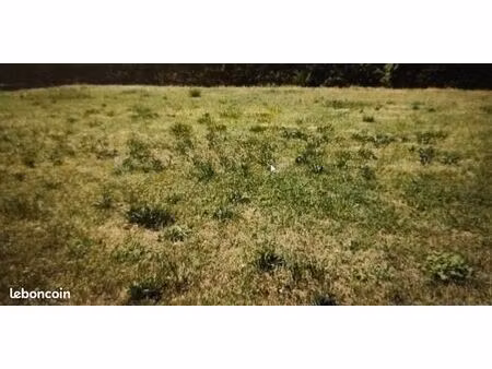 terrain 1 105 m² mandeville