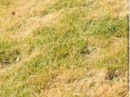 terrain à bâtir hors lotissement