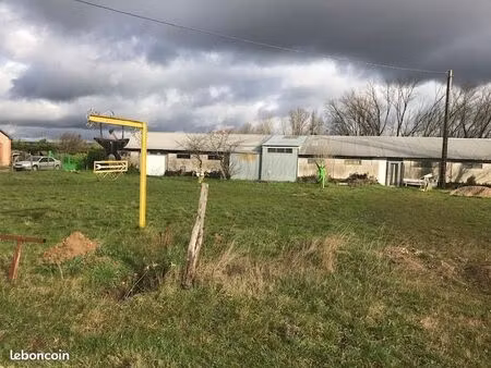 local sur terrain