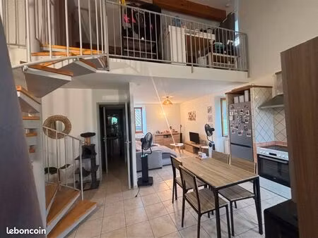 logement t1bis à louer