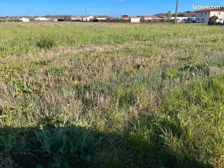 terrain 20000m2