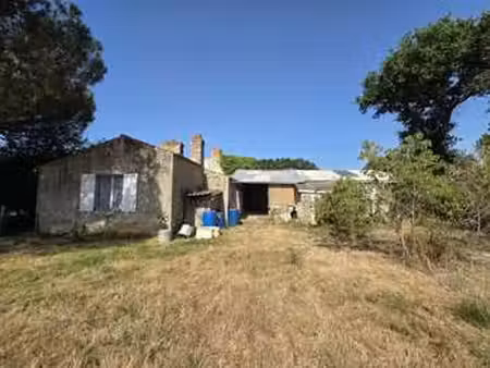 vente maison à grosbreuil (85440) : à vendre / 17m² grosbreuil