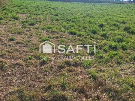 vente terrain 1000 m² petit-caux (76630)