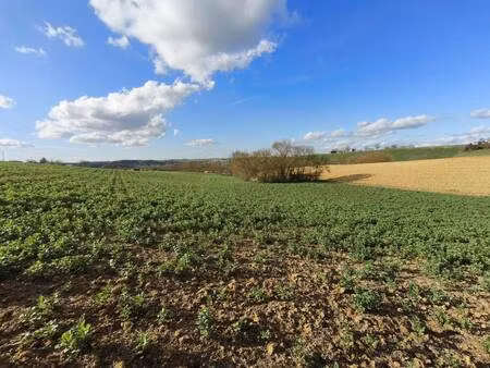 terrain constructible viabilisé à vendre