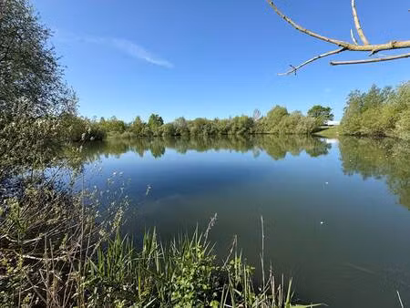 sud loire immobilier