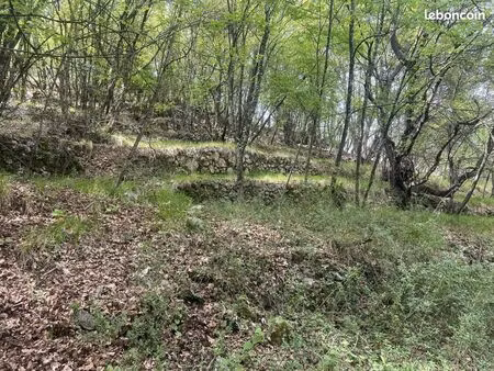 terrain 6377 m² sospel