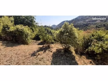 terrain constructible viabilisé  riviere
