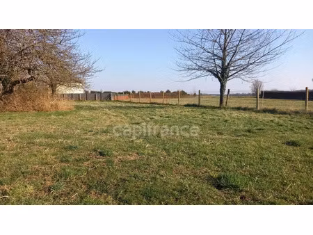 terrain à vendre panilleuse 1161m2 64 000€