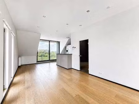 lumineux appartement 1 chambre avec terrasse et parking