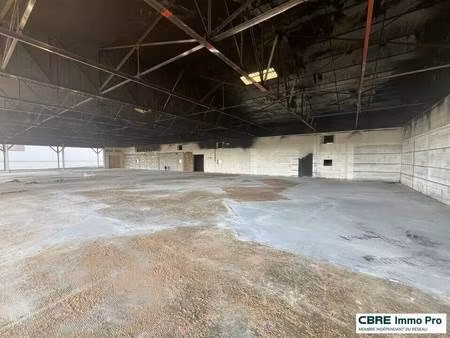 local commercial à louer