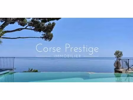 propriété avec piscine bastia (2b)