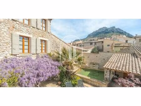 maison avec piscine et terrasse buis-les-baronnies (26)