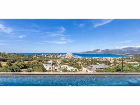 maison contemporaine avec piscine et terrasse calvi (2b)