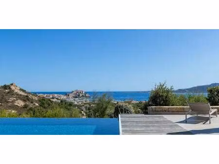 propriété avec piscine et jardin calvi (2b)