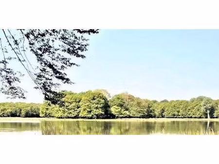 propriété mont a camp-marais - lille (59)