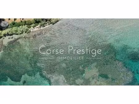 propriété avec piscine saint-florent (2b)