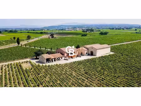 vignoble tulette (26)