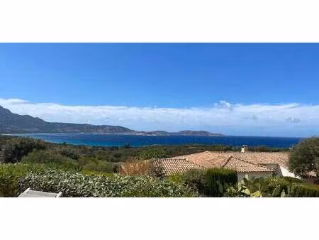 villa avec piscine et jardin lumio (2b)