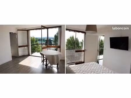 magnifique f2 54m² - meublé - chauffage inclus + balcon + double exposition