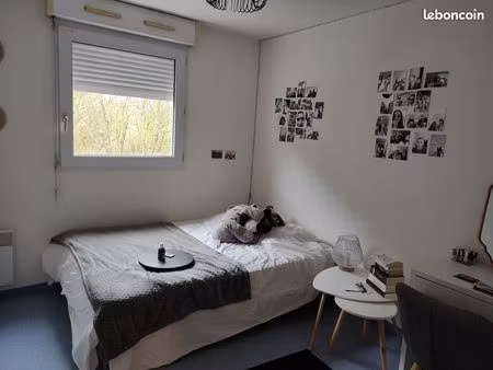 location studio 17 m² – non meublé – proche faculté