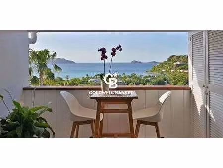appartement avec terrasse saint-barthélemy (971)