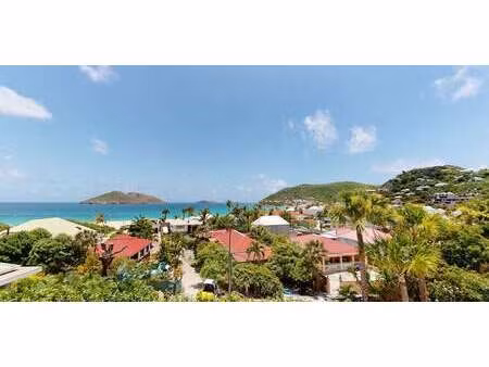 appartement saint-barthélemy (971)