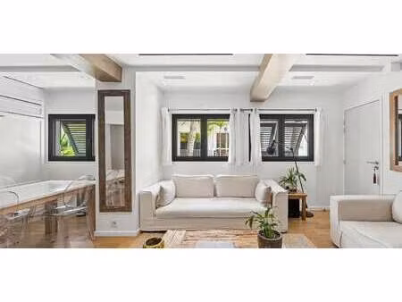 appartement saint-barthélemy (971)