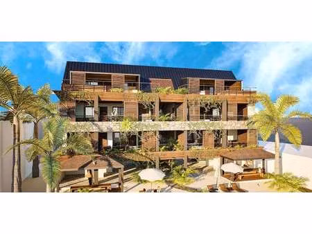 appartement saint-martin (971)