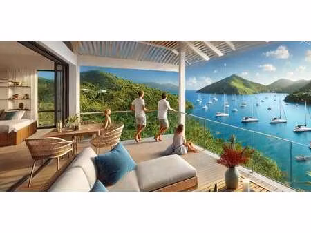 appartement terre de haut (971)