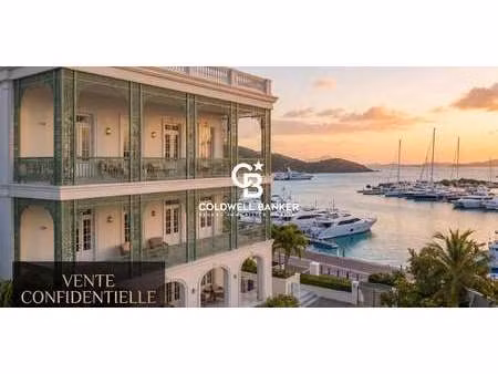 propriété saint-barthélemy (971)