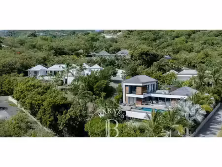 villa avec piscine en bord de mer saint-barthélemy (971)