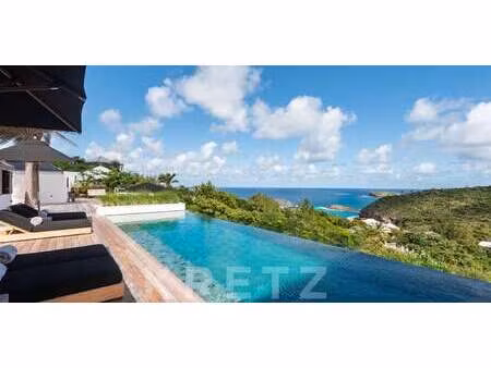 villa avec piscine en bord de mer saint-barthélemy (971)