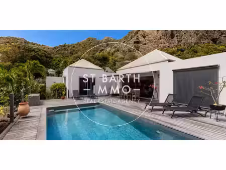 villa avec piscine et jardin saint-barthélemy (971)