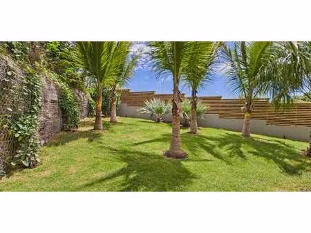 villa avec terrasse saint-barthélemy (971)