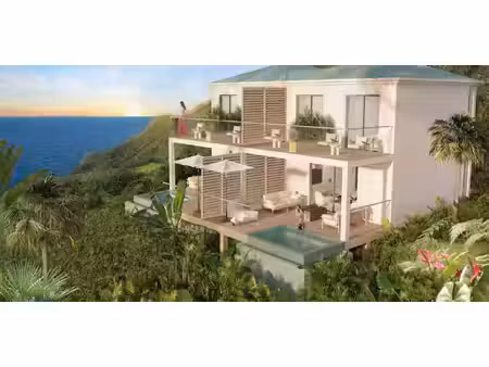 villa avec piscine saint-martin (971)