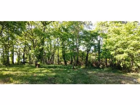 terrain constructible à vendre
