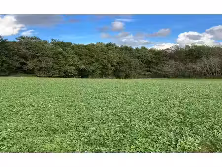 terrain constructible neuf à vendre