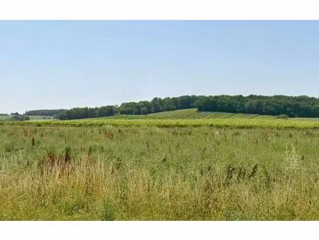 terrain constructible viabilisé à vendre