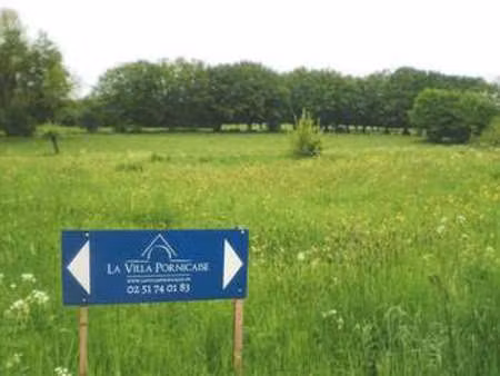 vente terrain à pornic (44210) : à vendre / pornic