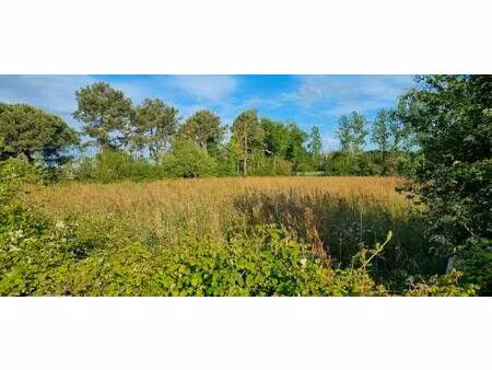 terrain constructible à vendre