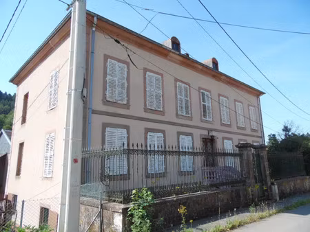 vente maison 10 pièces 255 m² moussey (88210)