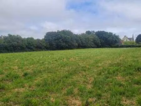 vente terrain à taulé (29670) : à vendre / taulé
