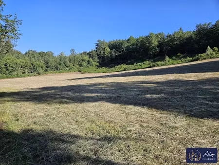 vente terrain 14895 m² à ambrugeat (19250)  27 000 €