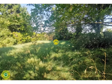 vente terrain 1463 m² à grossouvre (18600)  15 000 €
